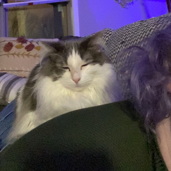 Meet your Posher, Becca - Picture 1 of 1